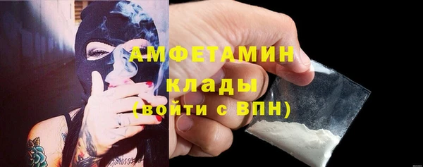 винт Абаза