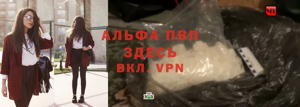 дмт Алексин