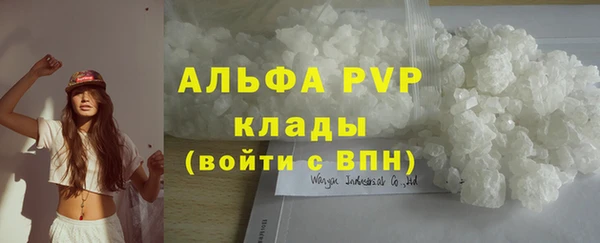 винт Абаза