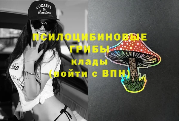 дмт Алексин