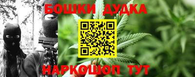 spice Канаш
