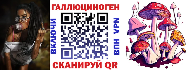 blacksprut зеркало  Мирный  Псилоцибиновые грибы GOLDEN TEACHER 