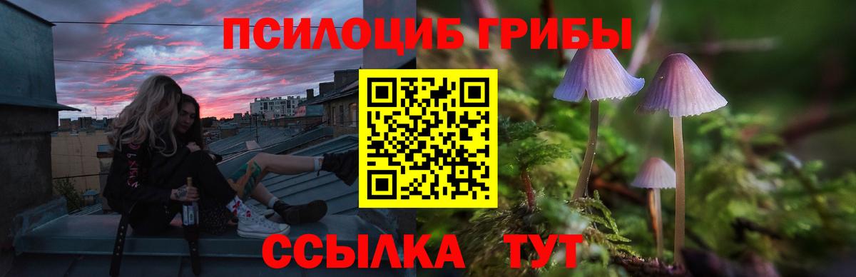 Мирный  Псилоцибиновые грибы Magic Shrooms  Галлюциногенные грибы Psilocybe  Вход с VPN 